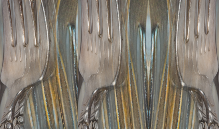 Forks 3 copy